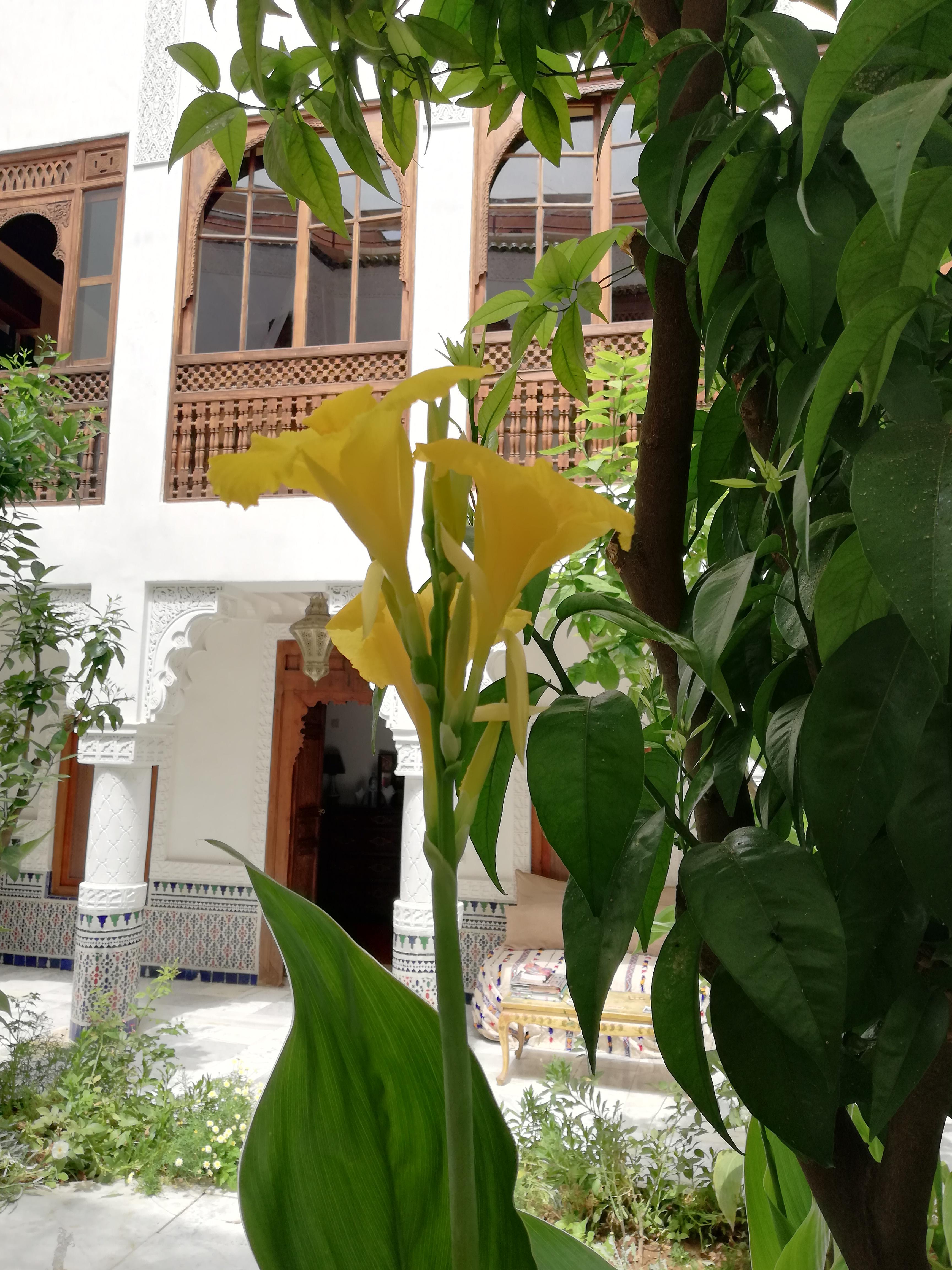 Riad Ben Youssef مراكش المظهر الخارجي الصورة